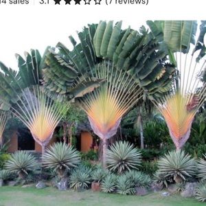 Meet your Posher, Layla